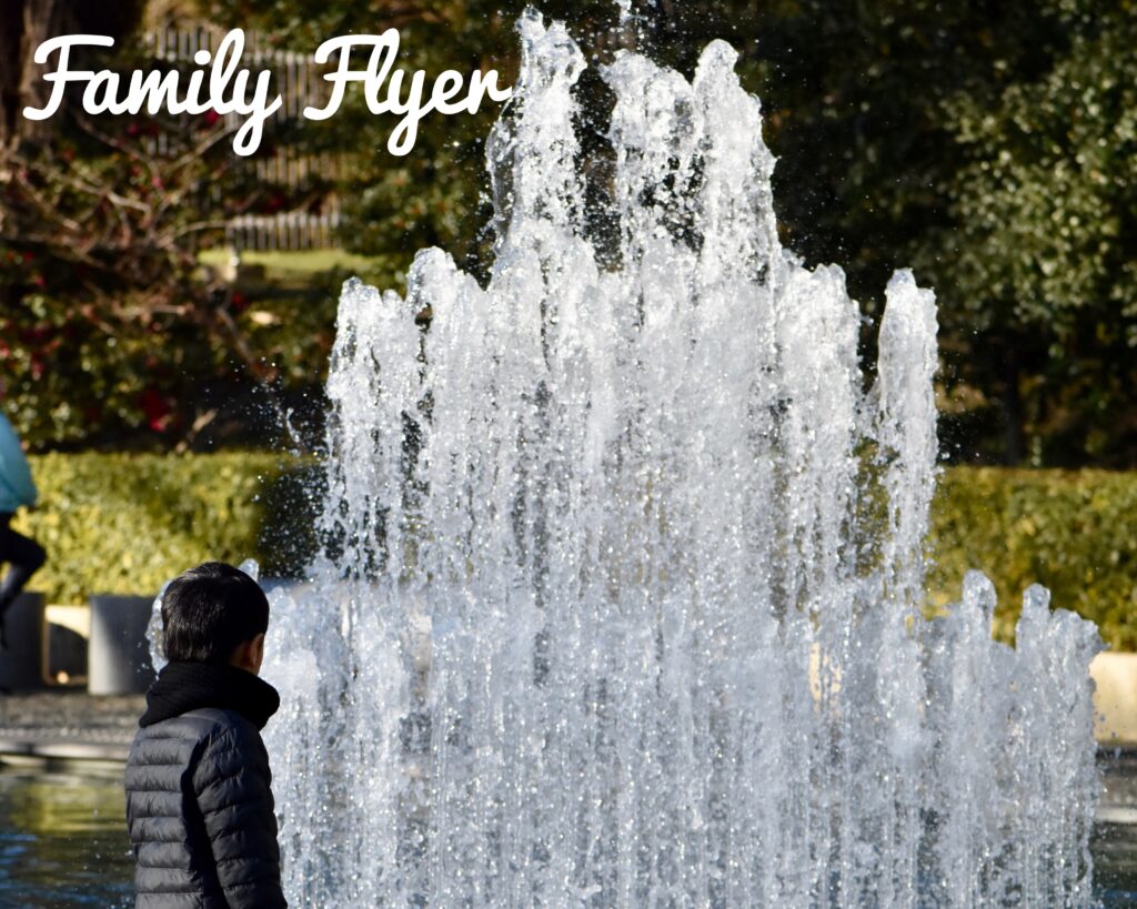 和田倉公園で噴水を見つめる男の子
